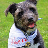 Squirrel Patrol Pet ID Tag