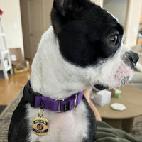 Squirrel Patrol Pet ID Tag