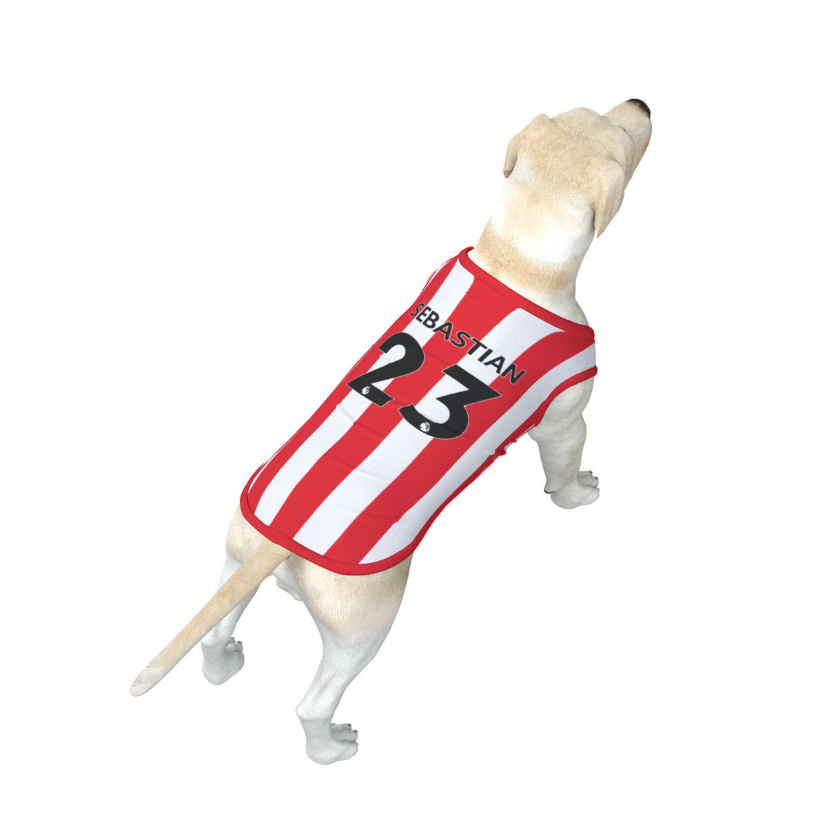 Dog football jerseys personalized deals