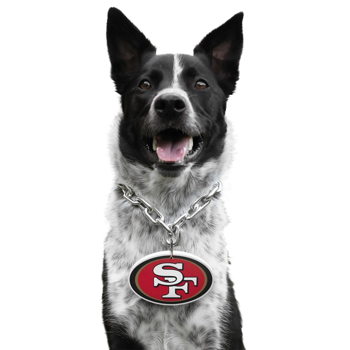 San Francisco 49ers Pet Fan Chain