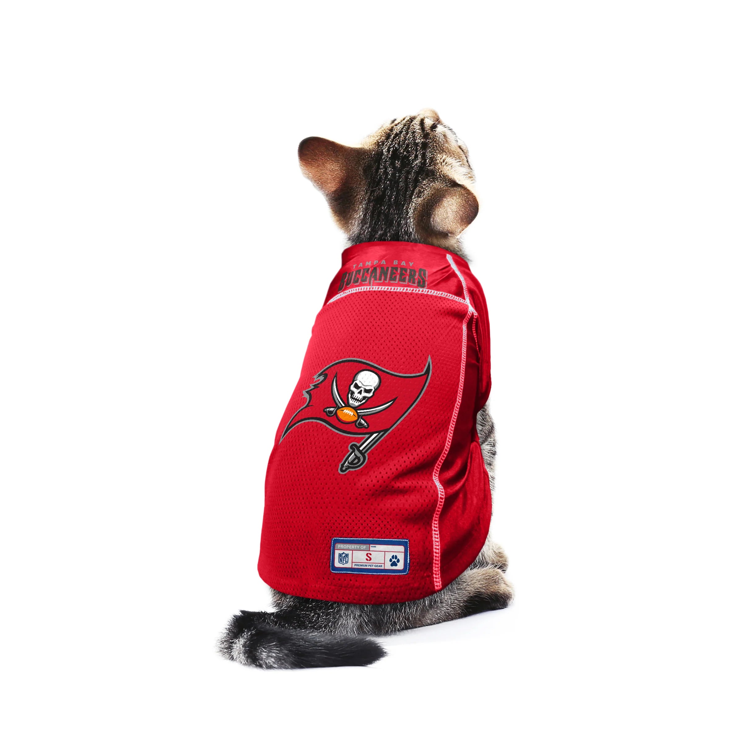 Tampa bay buccaneers best sale dog jersey