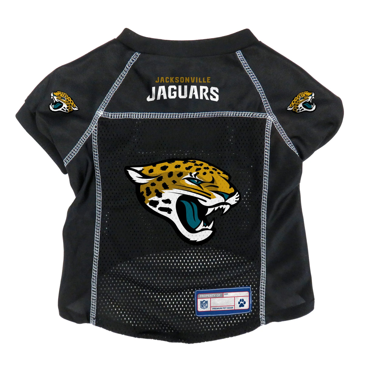 Jacksonville Jaguars Daily: A look back at the Jacksonville Bulls - Big Cat  Country