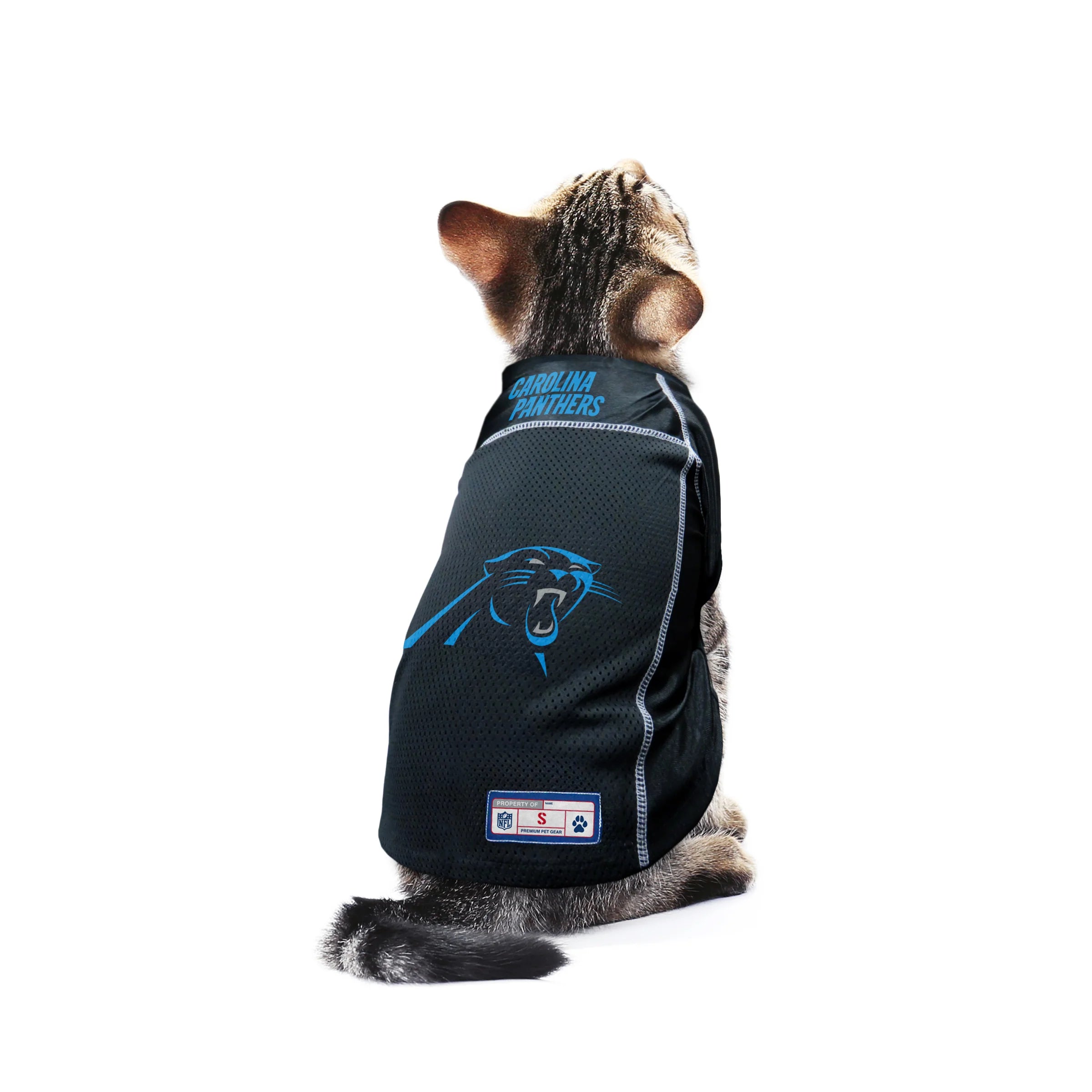 Carolina panthers dog shop jersey