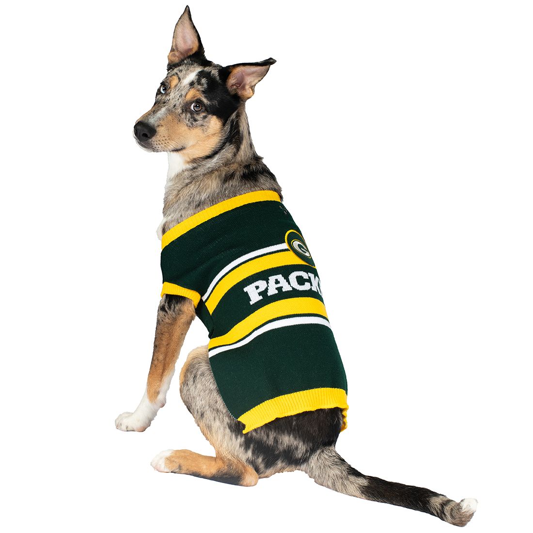 Green Bay Packers Colorblock Pet Sweater