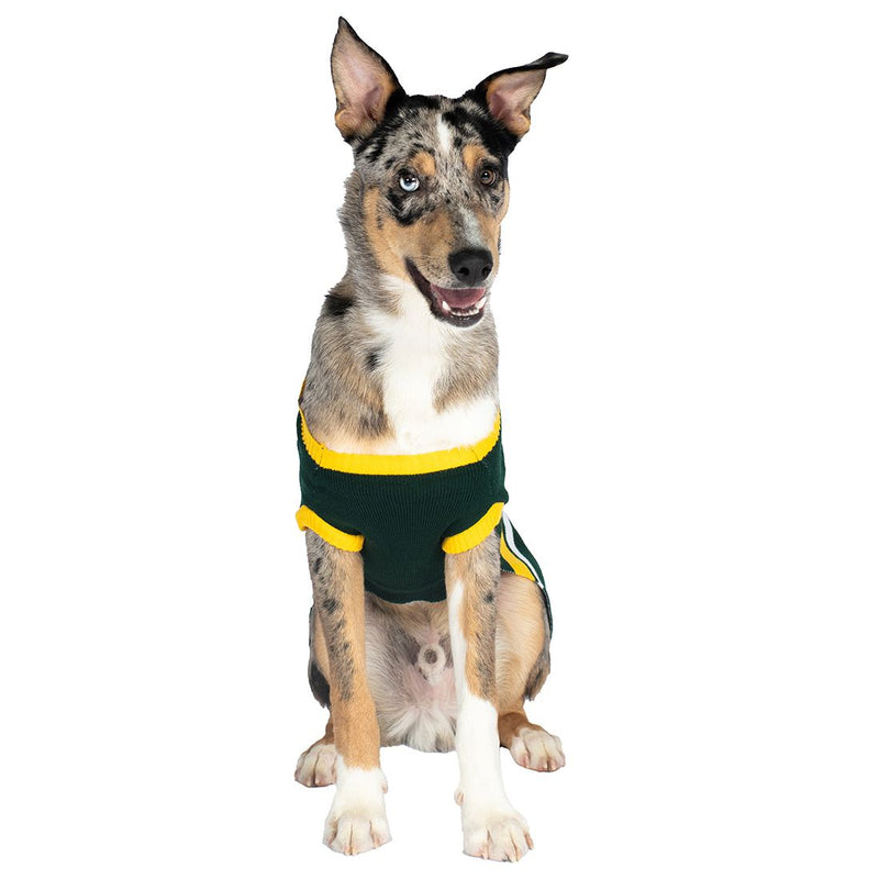 Green Bay Packers Colorblock Pet Sweater