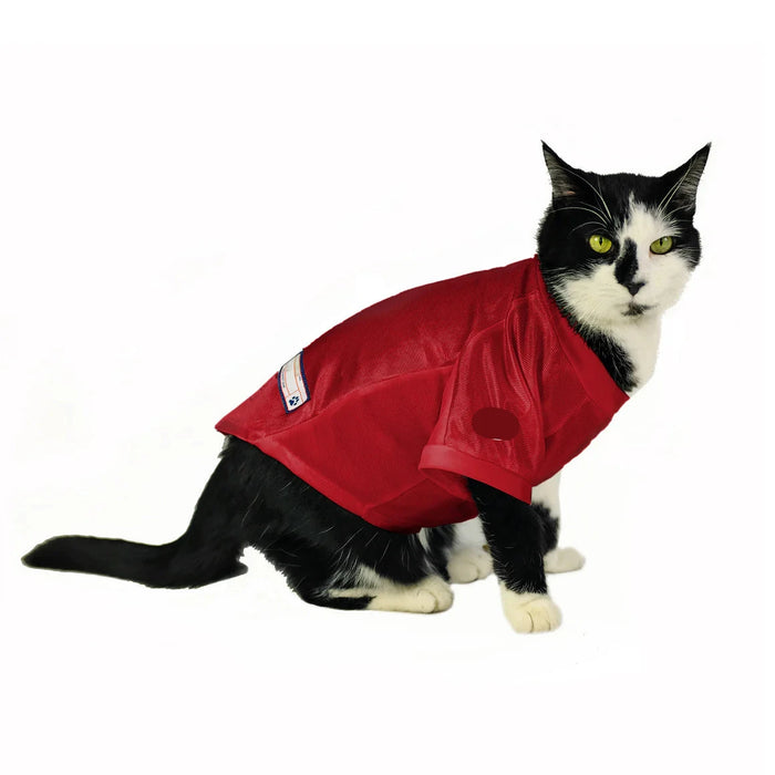 Washington Commanders Cat Stretch Jersey