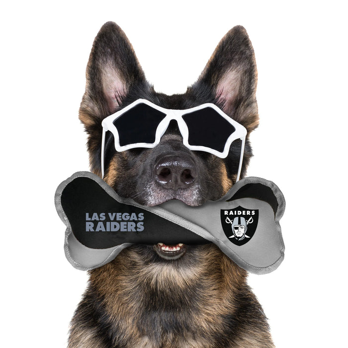 Oakland Raiders Dog Hoodie