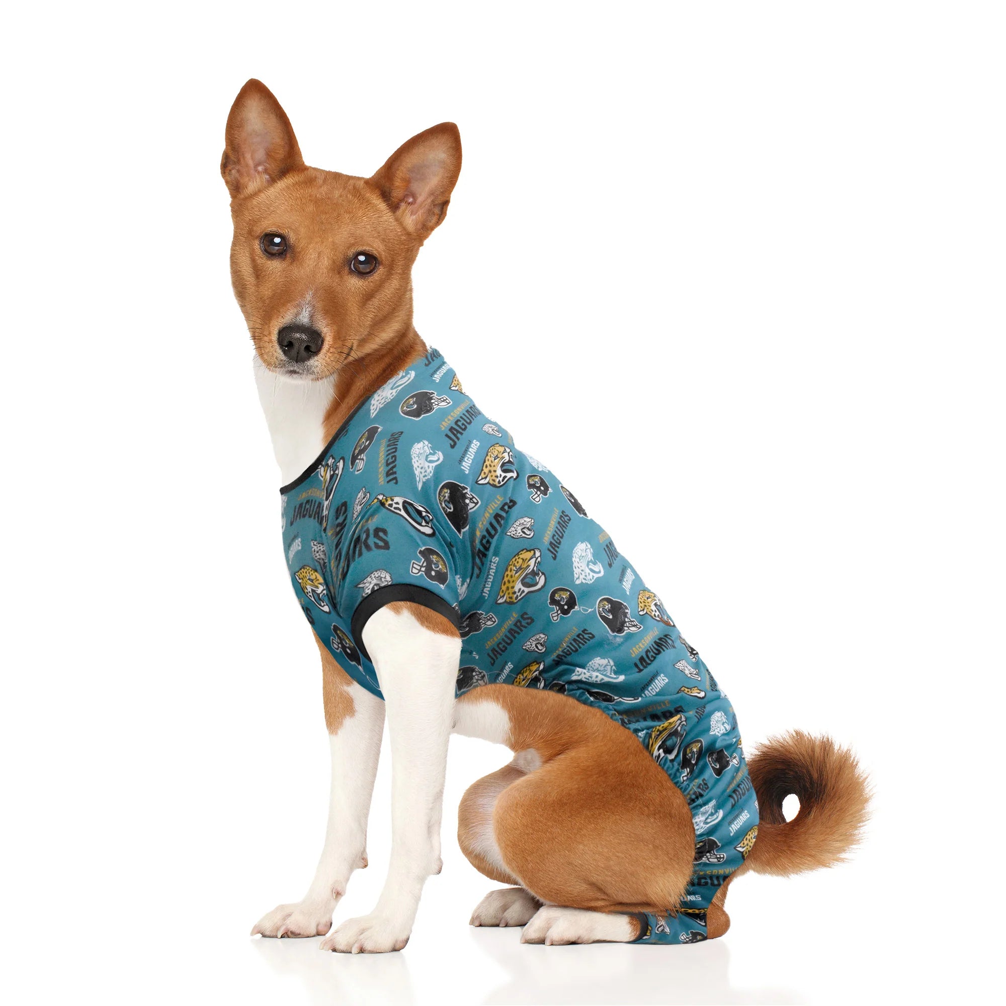 Jacksonville jaguars deals dog jersey