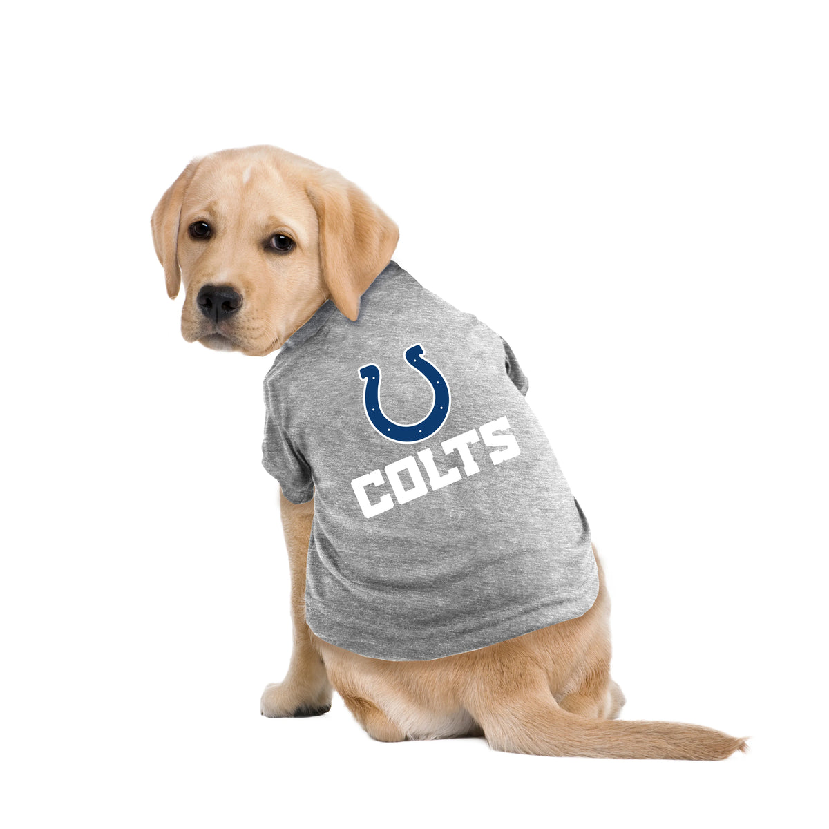 Colts jersey dog shop