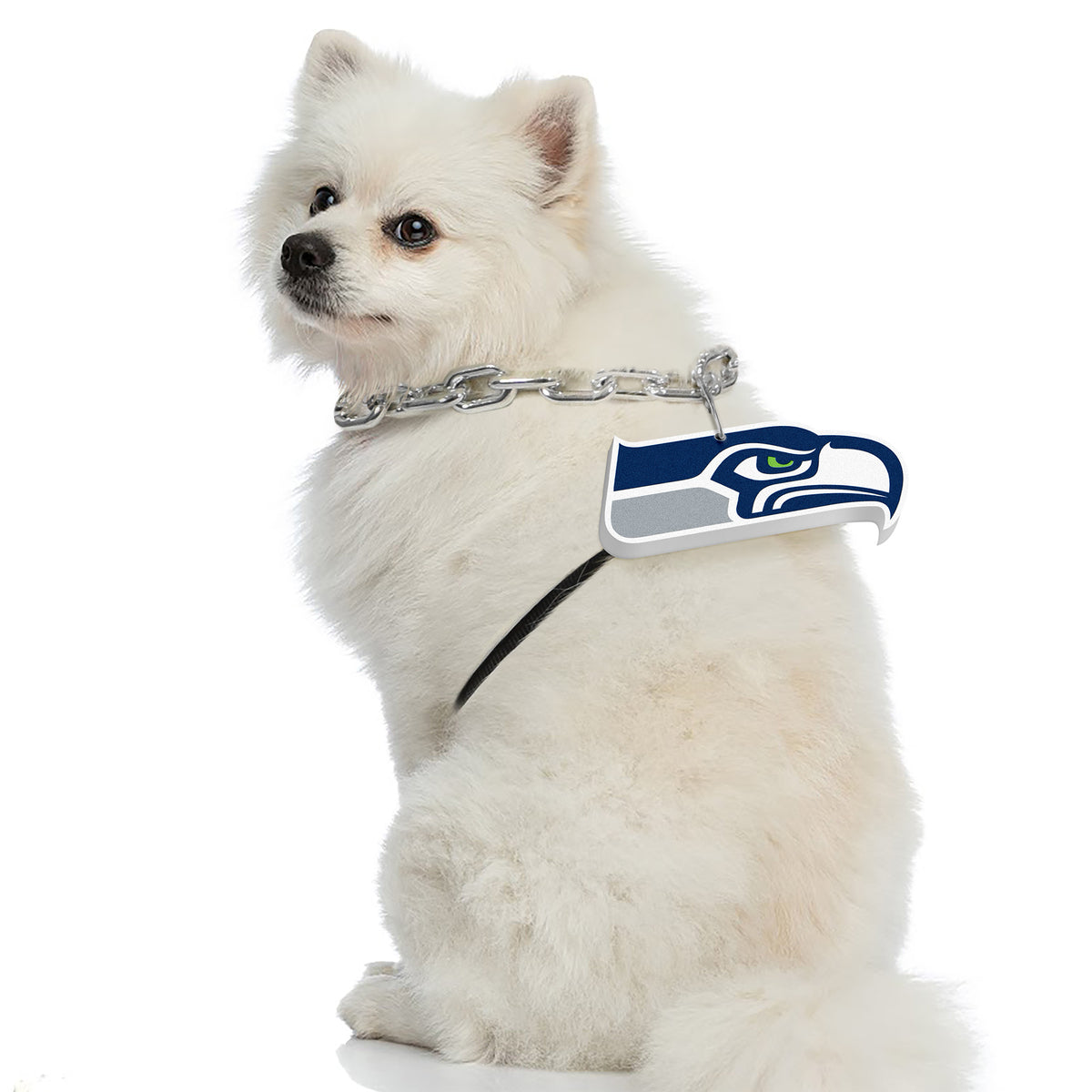 Seattle Seahawks Pet Fan Chain