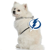 Tampa Bay Lightning Pet Fan Chain