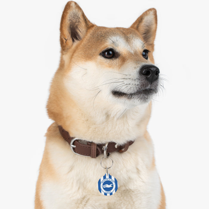 Brighton & Hove Albion FC 25/26 Home Kit-Inspired Collar Charm