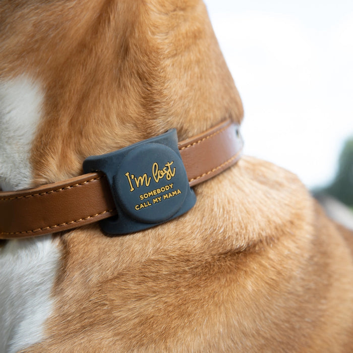 I'm Lost, Somebody Call My Mama AirTag Holder