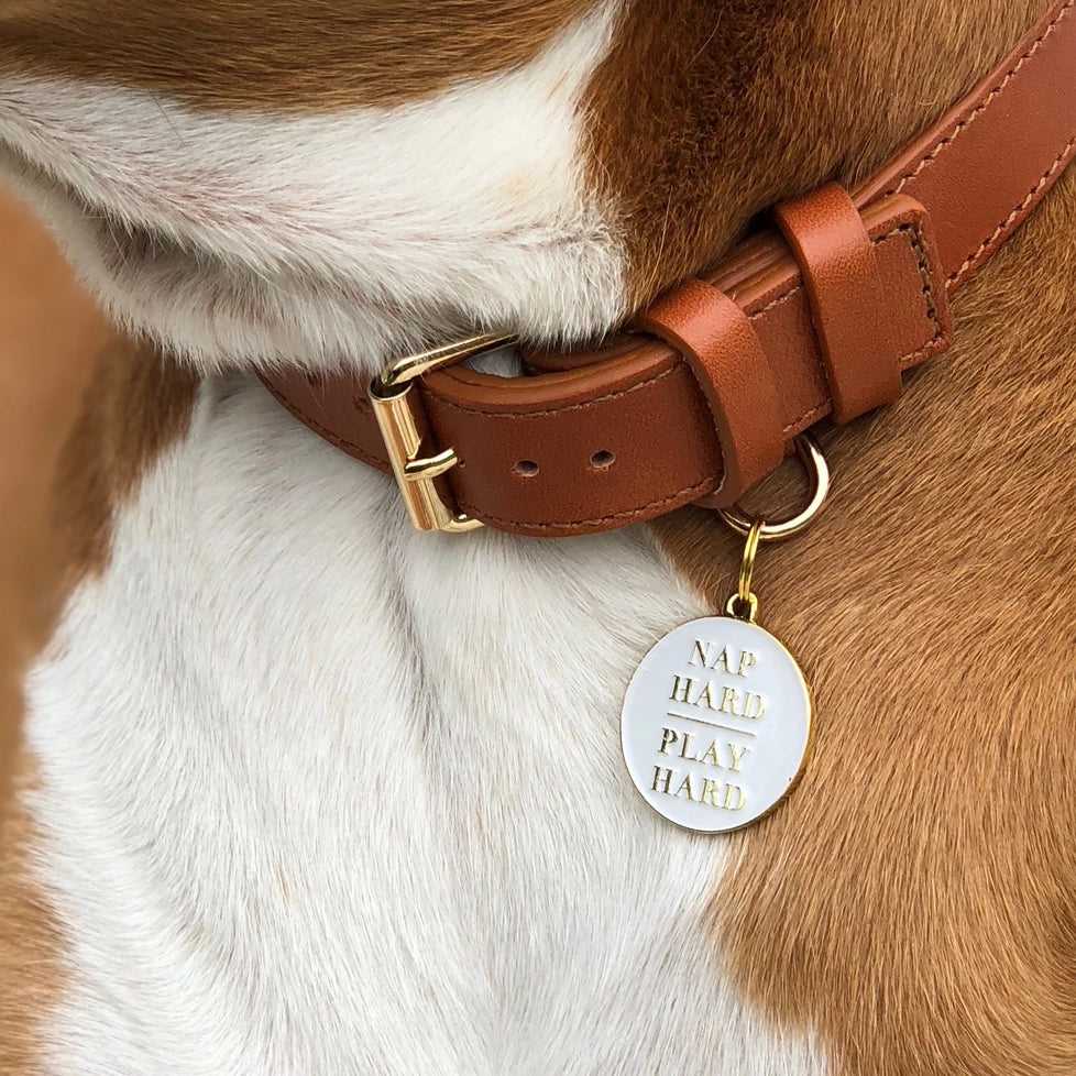 Nap Hard, Play Hard Pet ID Tag