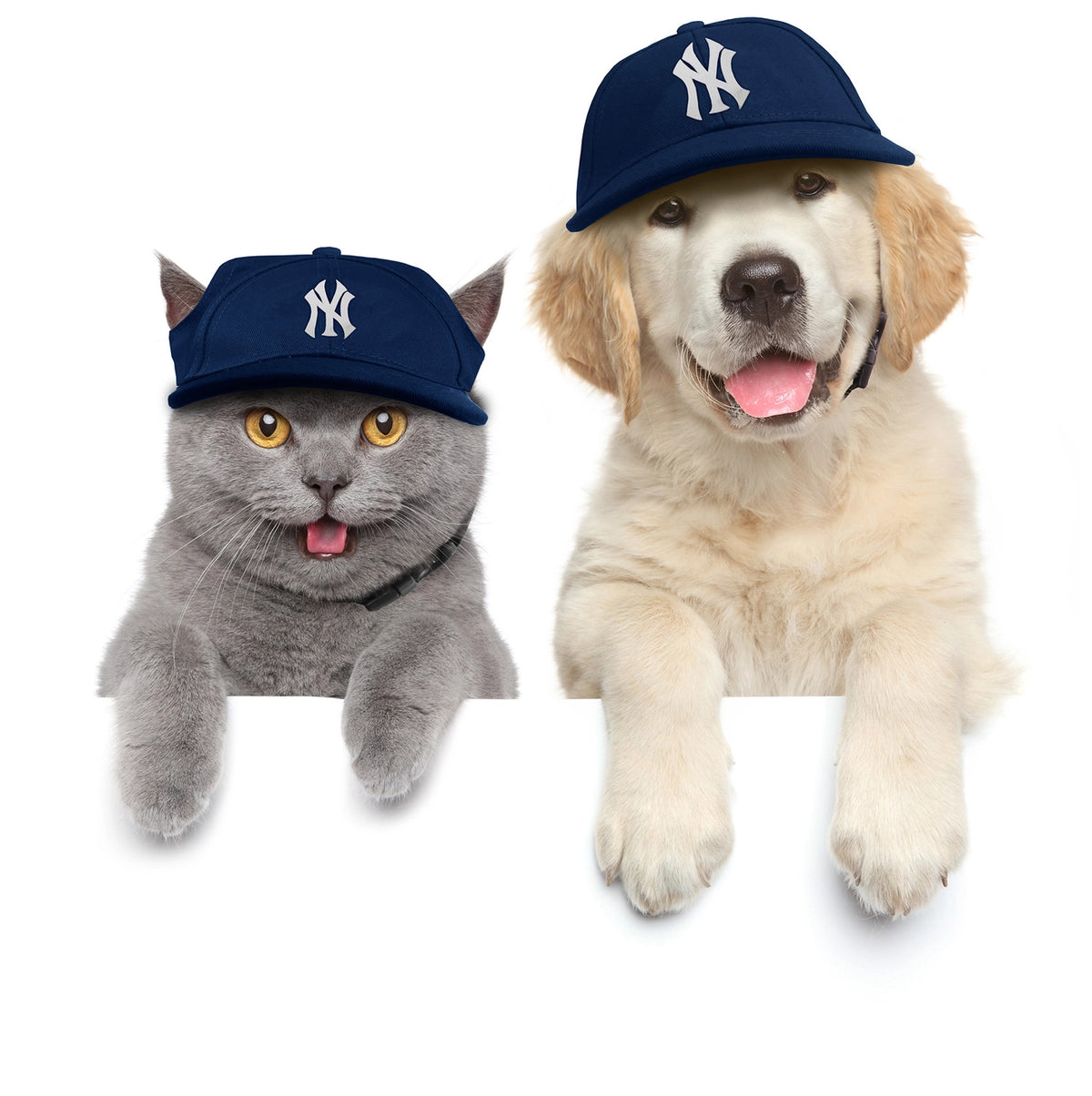 New York Yankees Pet Baseball Hat