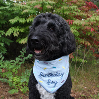 Birthday Boy Pet Bandana