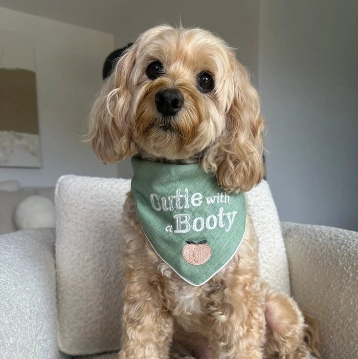Cutie with a Booty Pet Bandana