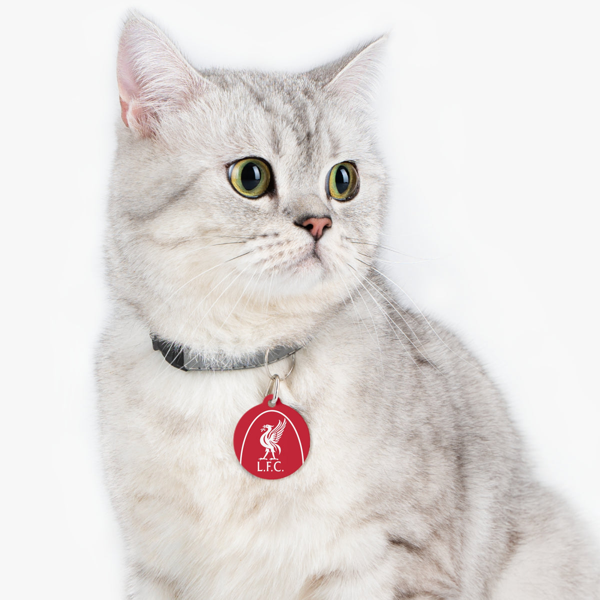 Liverpool FC 25/26 Home Kit-Inspired Collar Charm