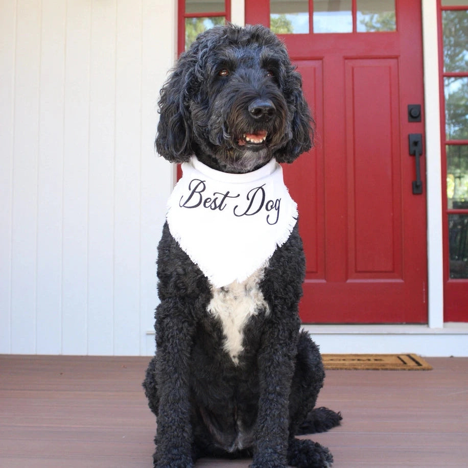 Best Dog Pet Bandana