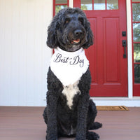 Best Dog Pet Bandana