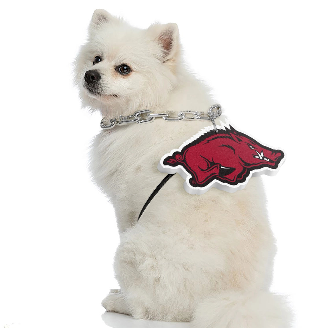 AR Razorbacks Pet Fan Chain