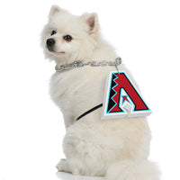 AZ Diamondbacks Pet Fan Chain