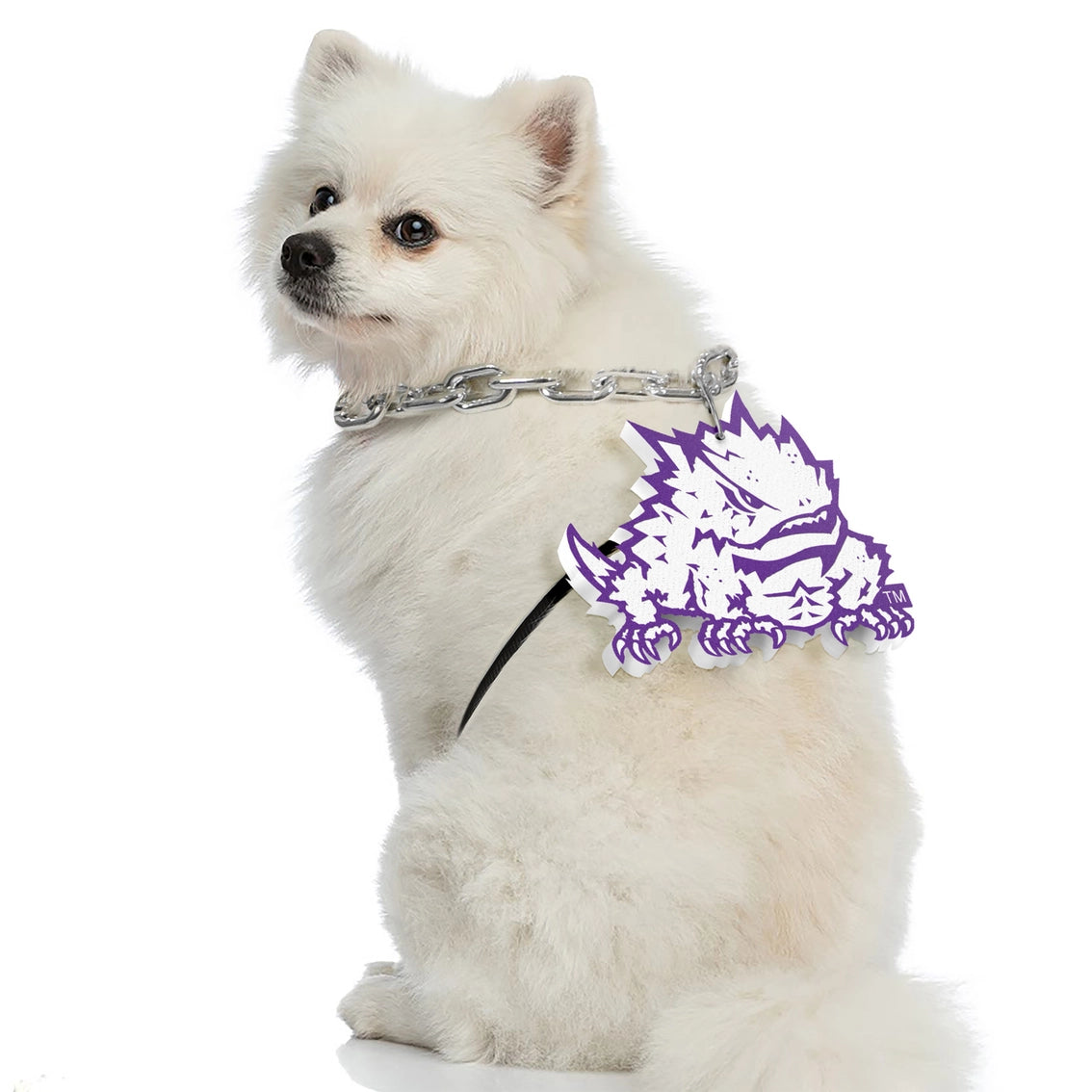 TCU Horned Frogs Pet Fan Chain