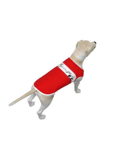 Brentford FC 25/26 Home Inspired Pet Graphic Tee Shirt (Sizes XS-Small)