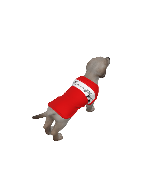 Brentford FC 25/26 Home Inspired Pet Graphic Tee Shirt (Sizes XS-Small)