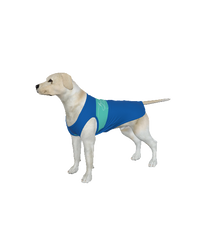 Brighton & Hove Albion FC 25/26 Home Inspired Pet Graphic Tee Shirt (Sizes XS-Small)