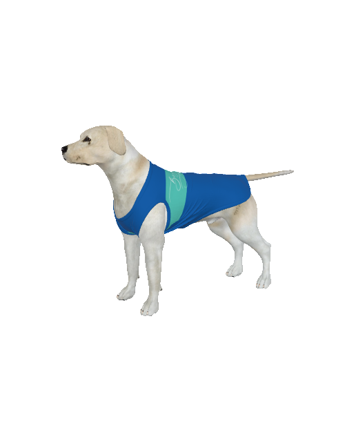 Brighton & Hove Albion FC 25/26 Home Inspired Pet Graphic Tee Shirt (Sizes XS-Small)