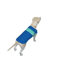 Brighton & Hove Albion FC 25/26 Home Inspired Pet Graphic Tee Shirt (Sizes XS-Small)