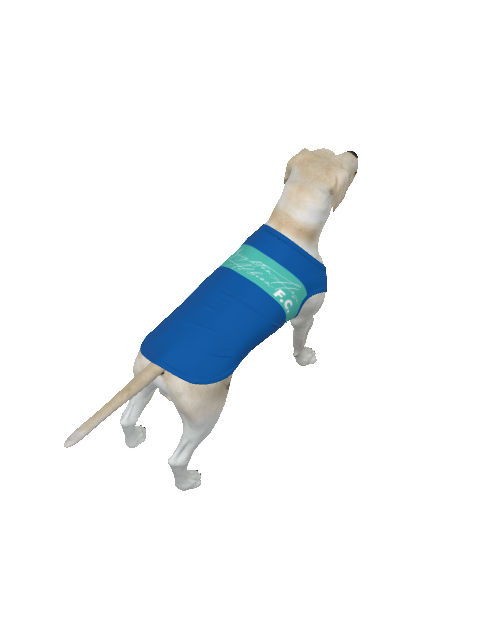 Brighton & Hove Albion FC 25/26 Home Inspired Pet Graphic Tee Shirt (Sizes XS-Small)