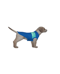Brighton & Hove Albion FC 25/26 Home Inspired Pet Graphic Tee Shirt (Sizes XS-Small)