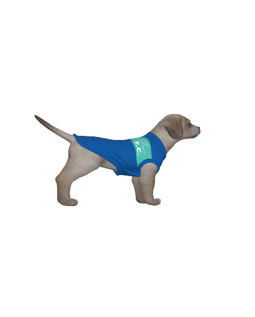 Brighton & Hove Albion FC 25/26 Home Inspired Pet Graphic Tee Shirt (Sizes XS-Small)
