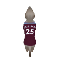 Aston Villa FC 25/26 Home Kit Inspired Personalized Tank