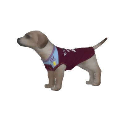 Aston Villa FC 25/26 Home Kit Inspired Personalized Tank