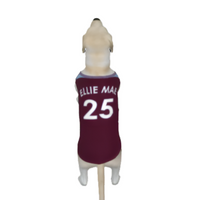 Aston Villa FC 25/26 Home Kit Inspired Personalized Tank