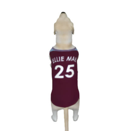 Aston Villa FC 25/26 Home Kit Inspired Personalized Tank