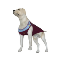 Aston Villa FC 25/26 Home Kit Inspired Personalized Tank