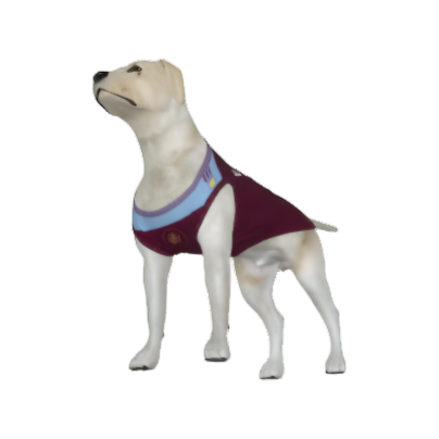 Aston Villa FC 25/26 Home Kit Inspired Personalized Tank
