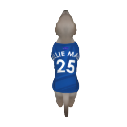Chelsea FC 25/26 Home Kit Inspired Personalized Tank