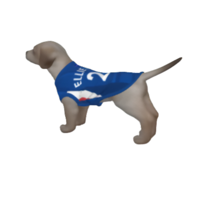 Chelsea FC 25/26 Home Kit Inspired Personalized Tank