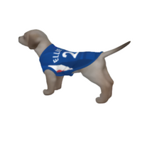 Chelsea FC 25/26 Home Kit Inspired Personalized Tank