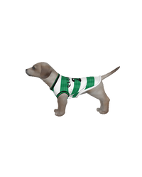Celtic FC 25/26 Home Kit Inspired Personalized Tank