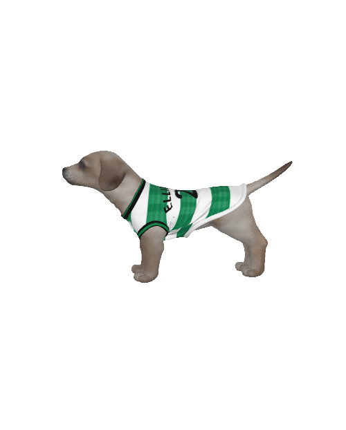 Celtic FC 25/26 Home Kit Inspired Personalized Tank