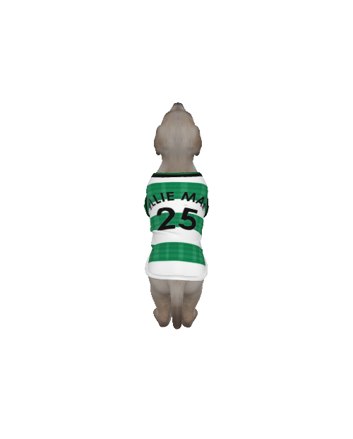 Celtic FC 25/26 Home Kit Inspired Personalized Tank