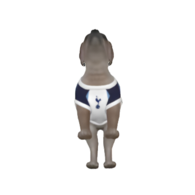 Tottenham Hotspur FC 25/26 Home Kit Inspired Personalized Tank