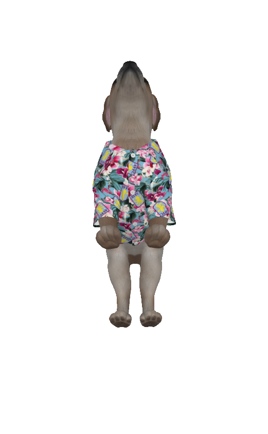 Aston Villa FC 25/26 Team-Inspired Pet Hawaiian Shirt (sizes M-3x)