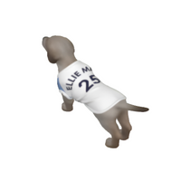 Tottenham Hotspur FC 25/26 Home Kit Inspired Personalized Tank